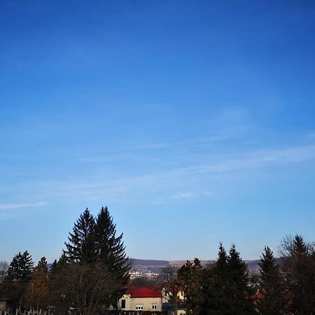 Villa-Hotel Escala Cluj-Napoca Eksteriør billede